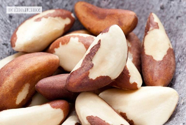 Полезные свойства и противопоказания бразильского ореха