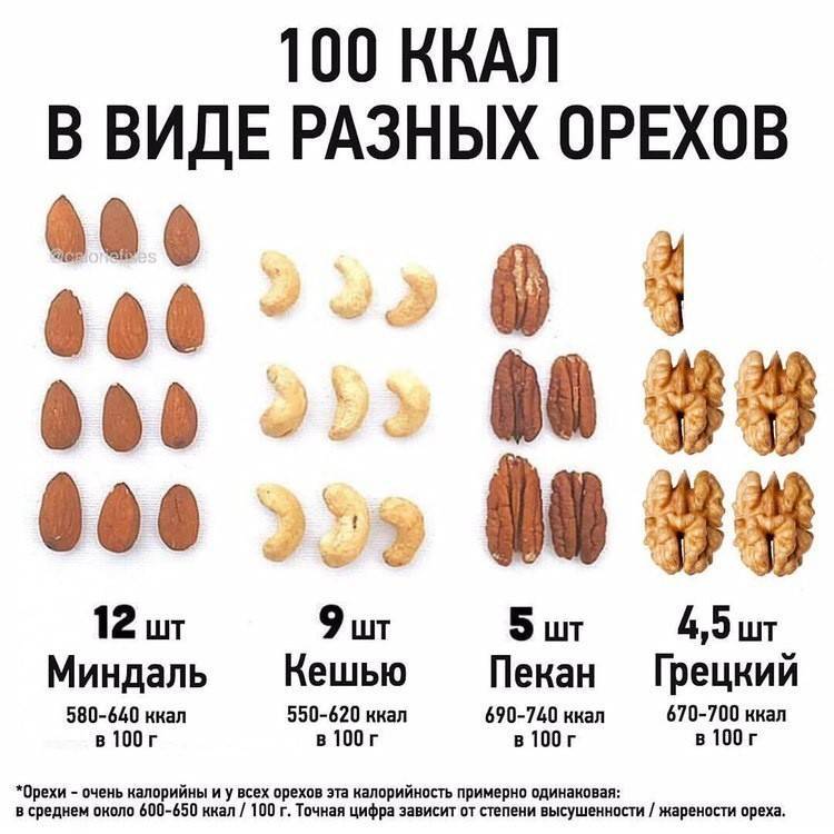 Орех макадамия при похудении: можно ли его кушать тем, кто хочет сбросить вес, когда употреблять запрещено, а также кбжу на 100 грамм и рецепты