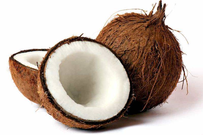 Польза кокоса — свойства, особенности применения и состав кокоса (115 фото + видео)