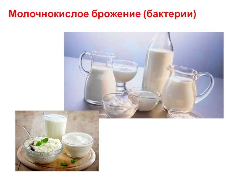 Лекция 3 тема лекции: микрофлора молока. цель лекции: ознакомление нормальной и анормальной микрофлорой сырого молока рассматриваемые вопросы: 1.микрофлора. - презентация