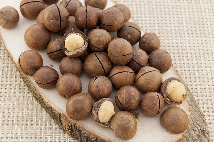 Орех кукуи: свечное дерево. масло кукуи свойства и применени