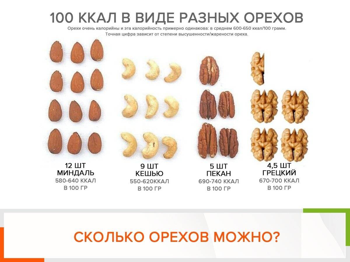 Сколько штук орехов можно есть в день