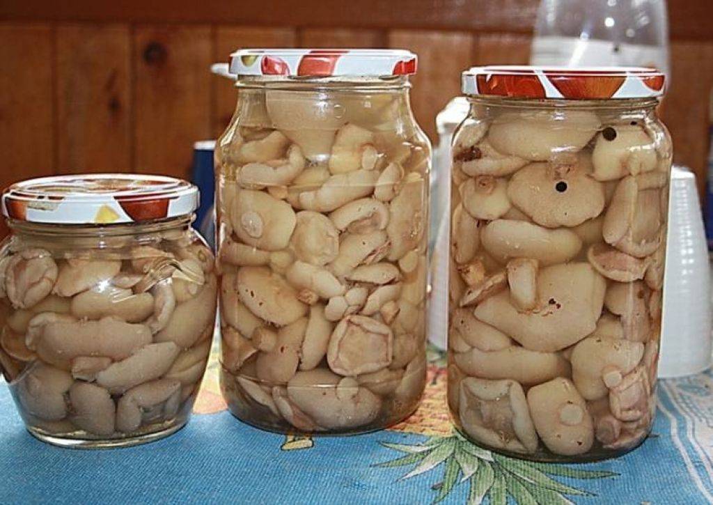 Засолка грибов зеленушек: рецепты холодным и горячим способом в домашних условиях, а также консервация на зиму в банки