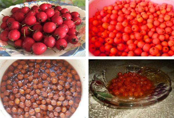 Варенье из боярышника без варки. простые и понятные рецепты. ягоды в сиропе