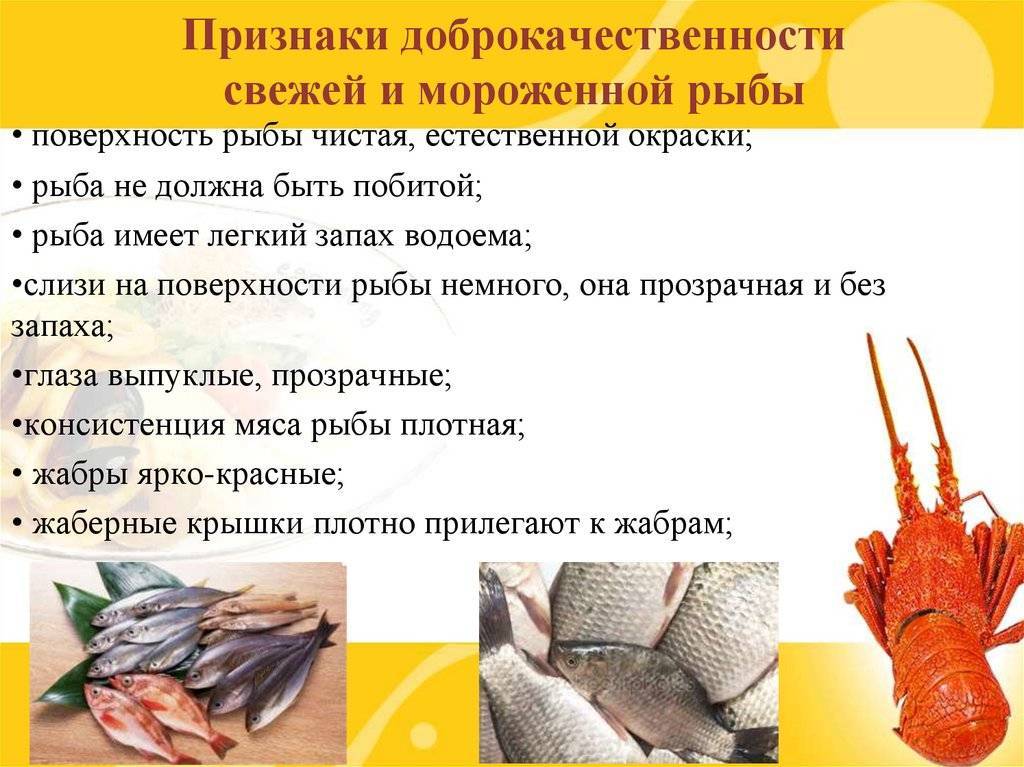 Холодильная обработка рыбы и морепродуктов