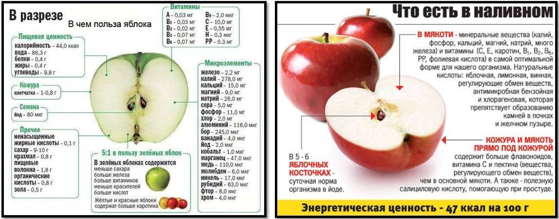 Польза яблок — 10 доказанных свойств для организма человека, а также вред и противопоказания