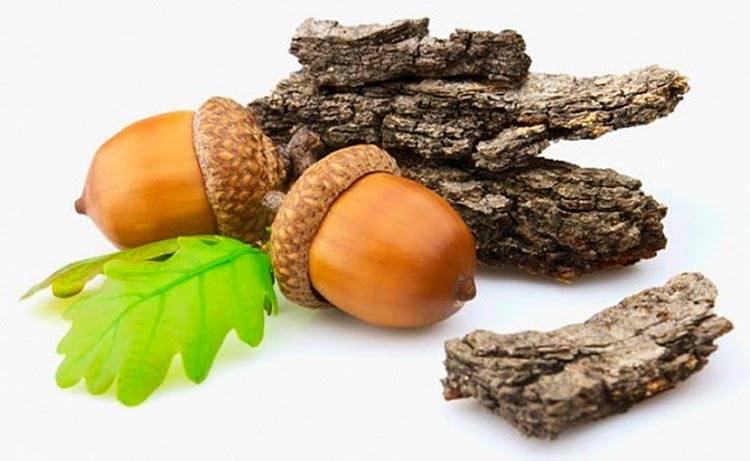 Состав, лечебные свойства и применение дубовых листьев