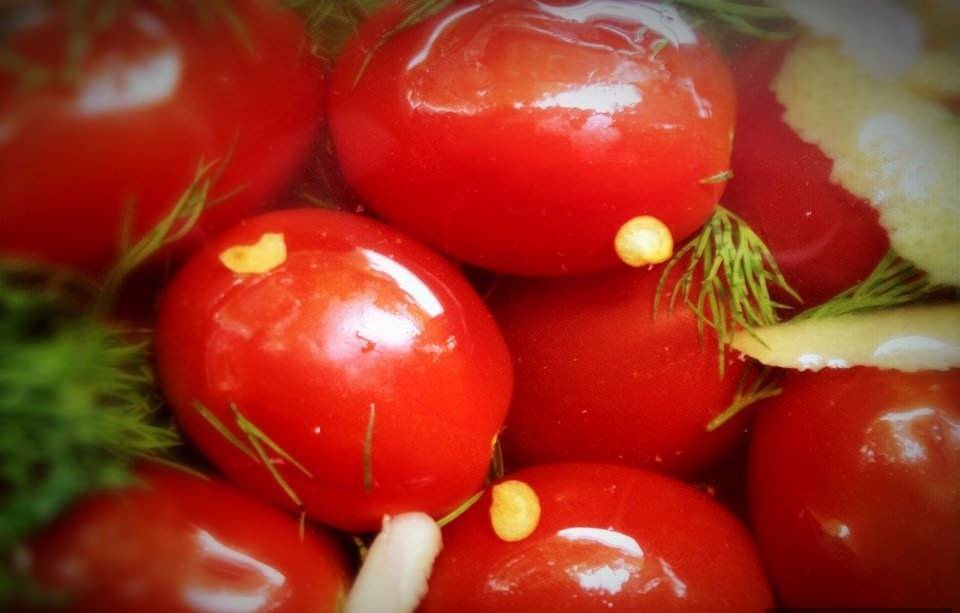 Как солить помидоры в банках — простые рецепты на зиму. засолка помидоров: лучшие рецепты