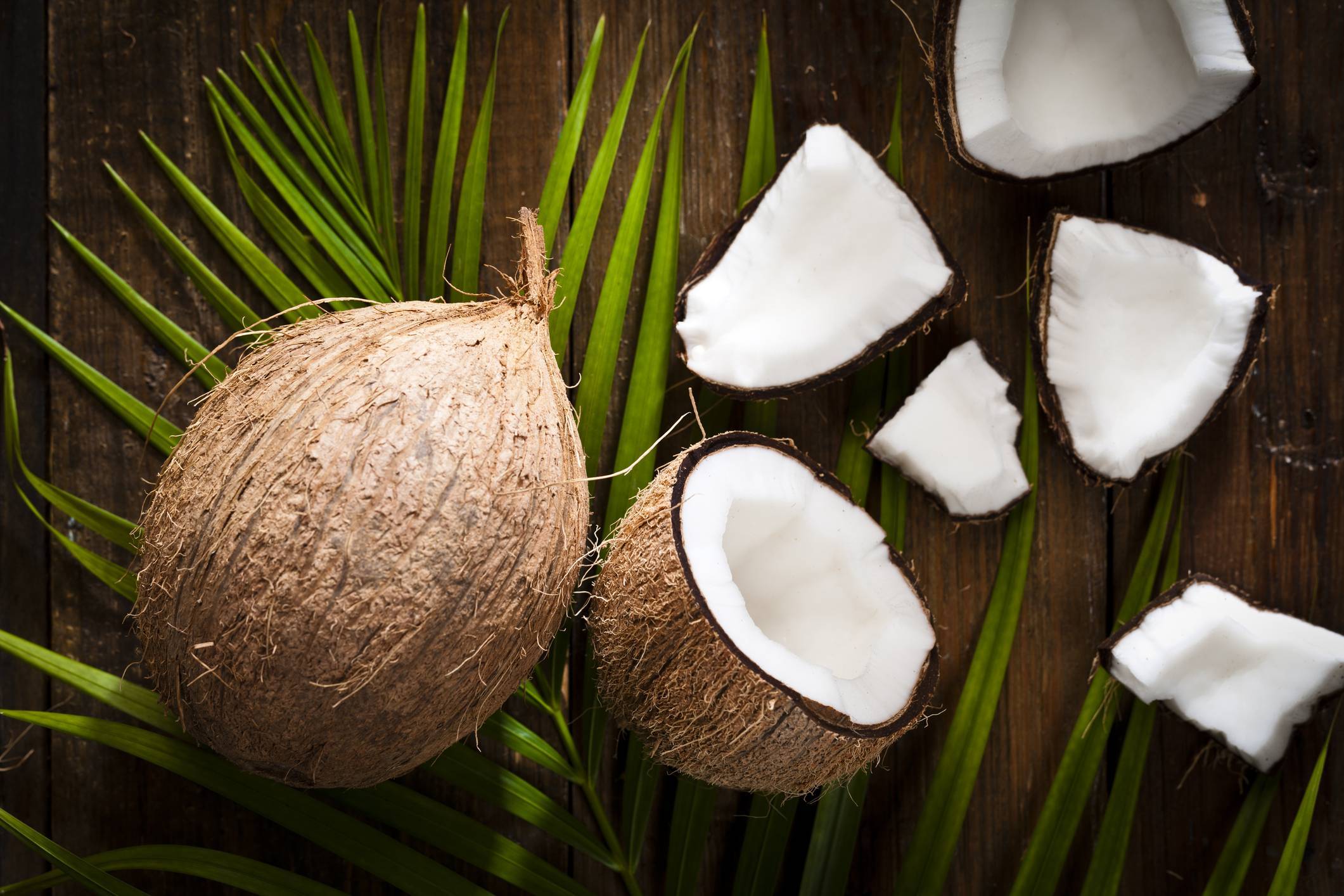 Кокос (cocos). описание, виды и уход за кокосом