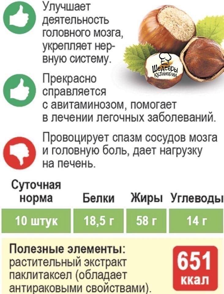 Сколько грецких орехов можно и нужно съедать в день: информация.