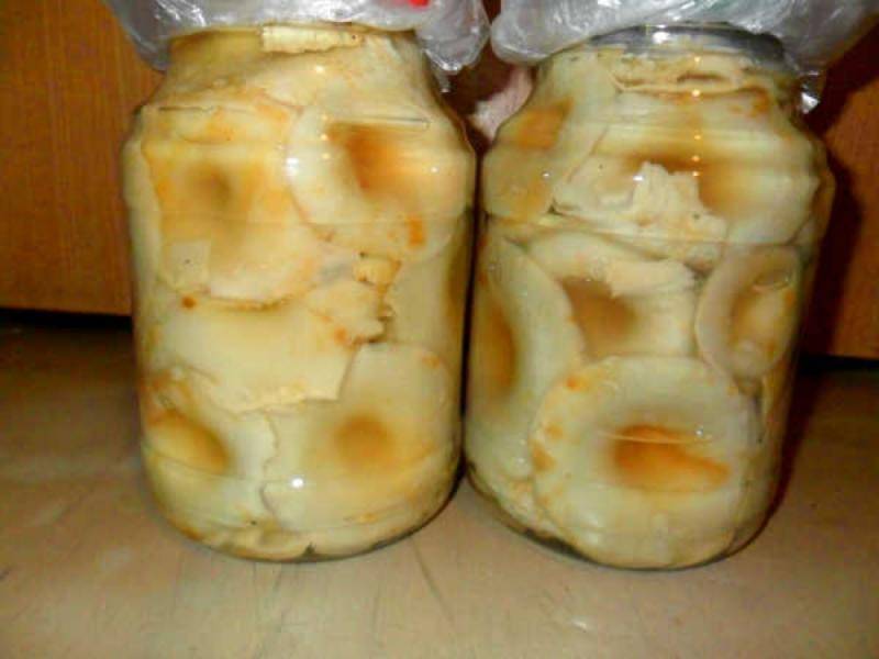 Засолка груздей — рецепты заготовки хрустящих грибов в домашних условиях на зиму