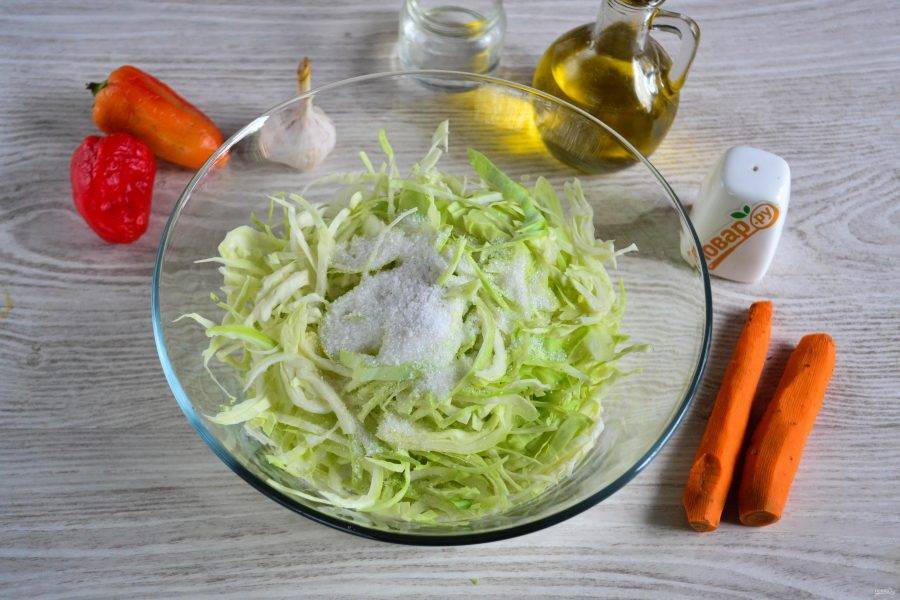Как сделать капусту «провансаль» в домашних условиях: классические рецепты и быстрые