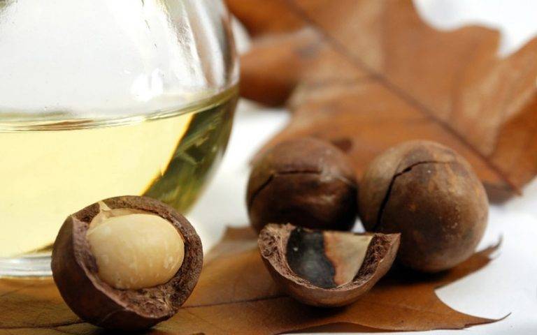 Орех кукуи польза и вред: полезные свойсва масло дерево кукуй - орех эксперт