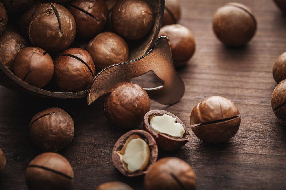 Орех макадамия – польза и вред, почему сладкий на вкус, как чистить, хранить