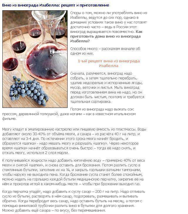 Вино из винограда в домашних условиях – сайт о винограде и вине