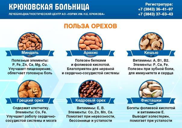 Удивительная польза кедровых орехов: как и сколько съедать без вреда для здоровья женщинам и мужчинам