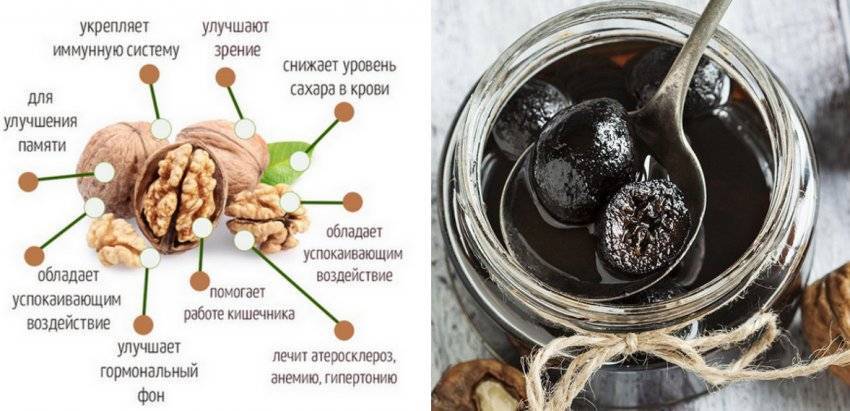 Польза и вред грецких орехов для организма, лечебные свойства, применение