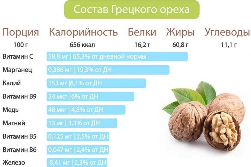 Все о витаминах, минералах и здоровом питании: какие витамины и микроэлементы в орехах? (home.health.plzvtmnv) : рассылка : subscribe.ru