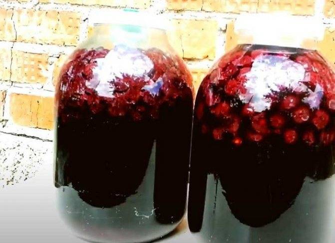 Рецепт вина из замороженной вишни в домашних условиях