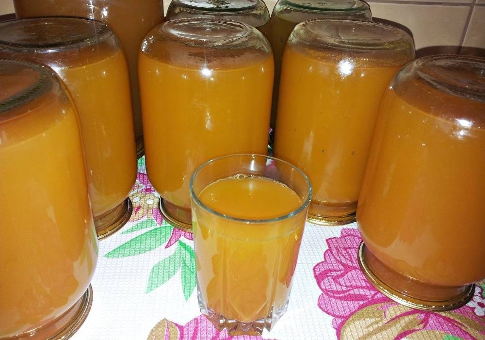 Морковный сок на зиму из соковыжималки: полезные свойства, противопоказания, рецепты приготовления дома