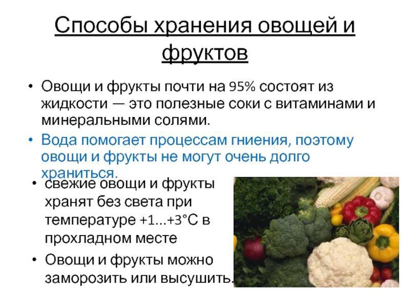 Правила хранения свежих и приготовленных овощей или фруктов: от чего зависит срок годности
