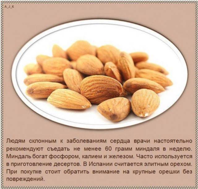 Зачем замачивать орехи перед употреблением, как правильно - орех эксперт