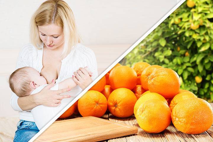Кокосовая паста: польза и вред для организма, состав, калорийность, как принимать женщинам при беременности, грудном вскармливании