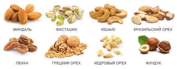 виды орехов фото и названия на русском