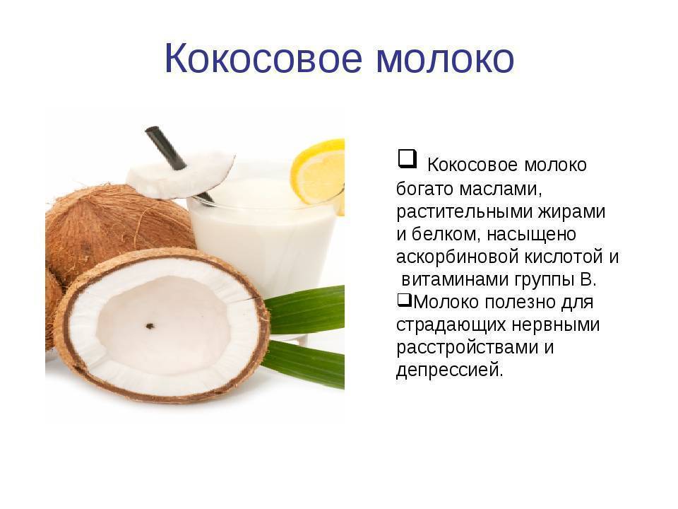 Польза и вред кокосового молока для организма человека