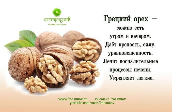 Грецкие орехи при похудении - сколько можно есть, польза