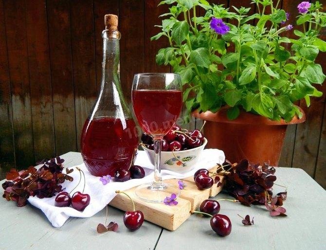 Вино из вишни: 13 простых рецептов с фото (классический, с косточками, из замороженной ягоды) + польза и вред напитка
