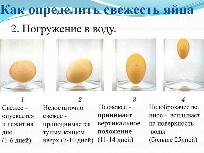 Сколько свежее яйцо. Свежесть куриных яиц. Как узнать свежесть яиц. Как понять свежесть яйца. Определить свежесть яиц в воде.
