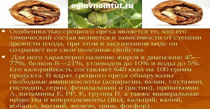 Всё о приготовлении разных видов настойки из зелёных грецких орехов, а также о пользе и вреде её употребления