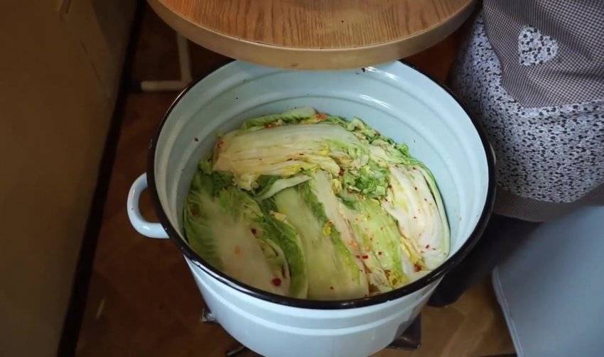 5 пошаговых рецептов маринованной пекинской капусты  – пальчики оближешь!