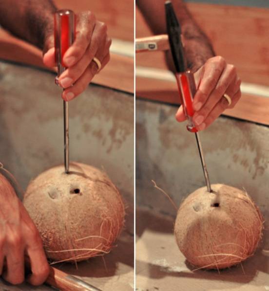 Как открыть кокос в домашних условиях, нужно ли его чистить, чем разделать и расколоть пополам, вскрыть скорлупу, почистить мякоть
