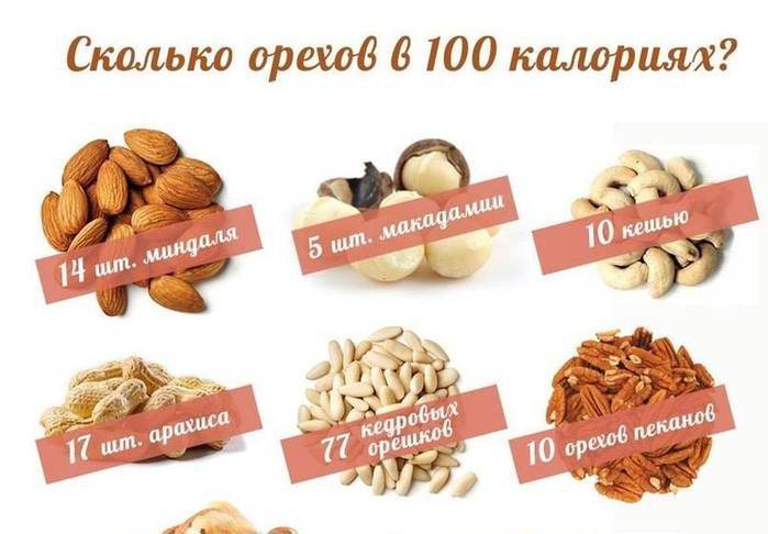 Сколько можно есть орехов в день: норма грецких орехов в сутки для женщин