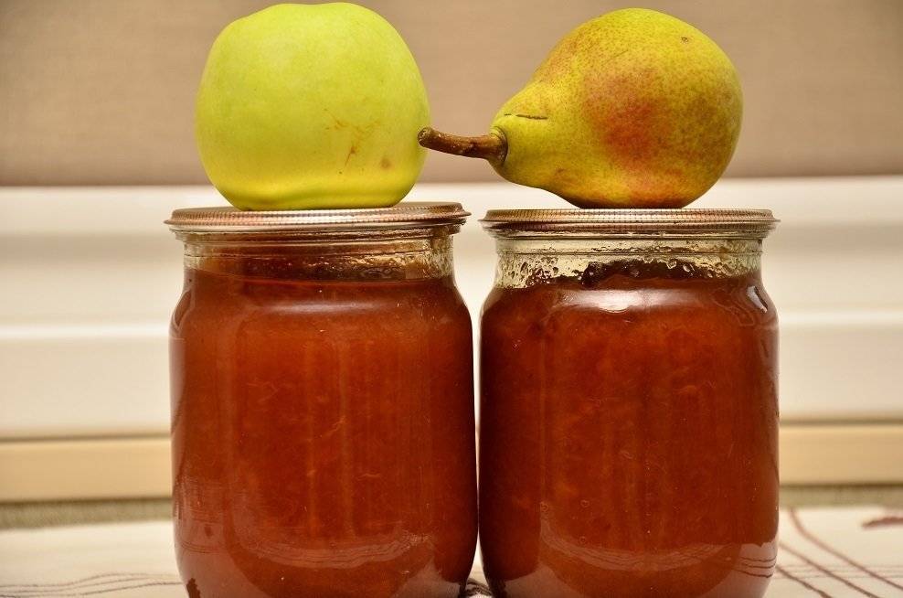 Яблочное повидло на зиму рецепты приготовления повидла из яблок в домашних условиях