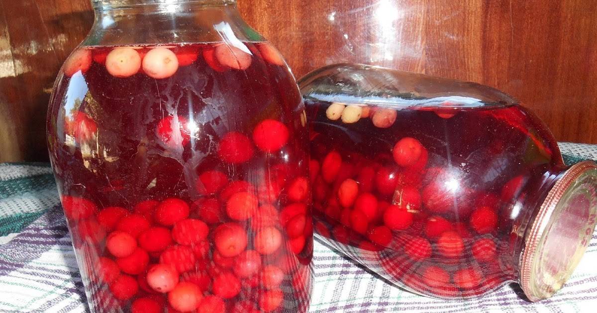 Компот из вишни на зиму — 9 простых рецептов