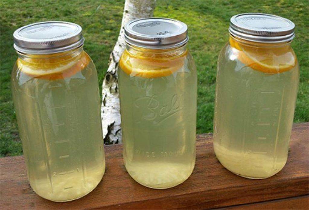 Березовый сок с лимоном - 5 рецептов в домашних условиях с фото пошагово