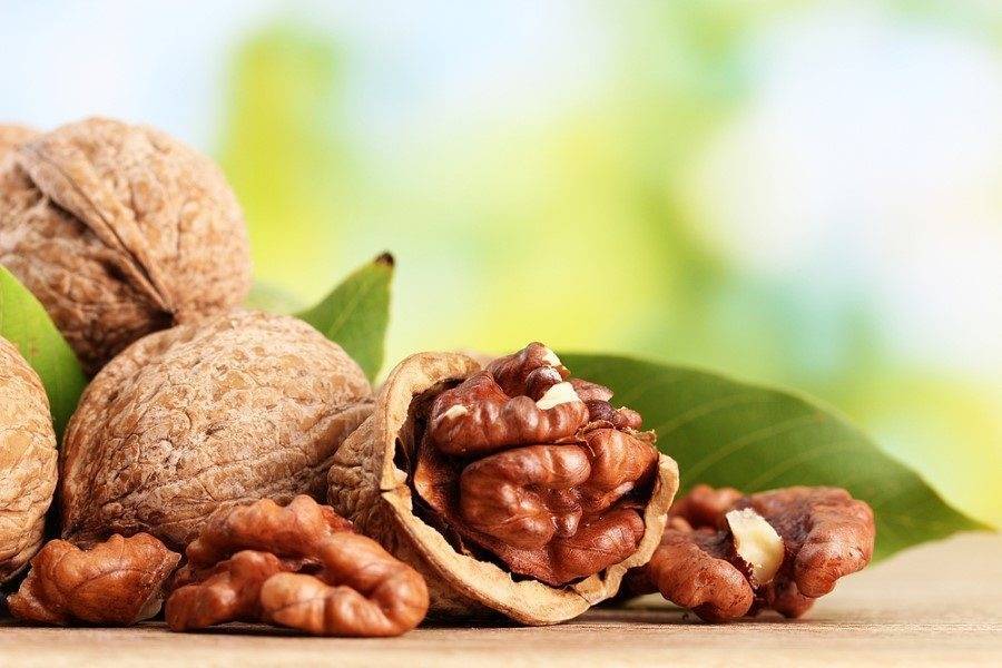 Выращивать грецкий орех в казахстане — не экзотика