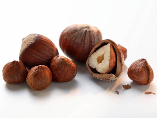В чём разница между лесными орехами: лещиной и фундуком