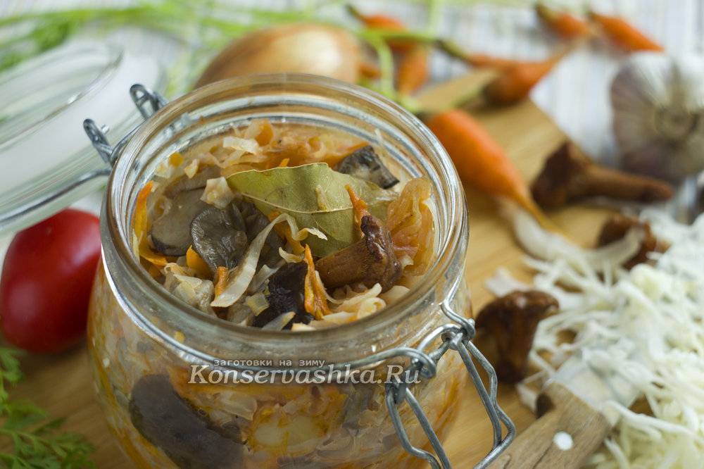 Солянка на зиму с грибами и капустой: рецепты "пальчики оближешь"