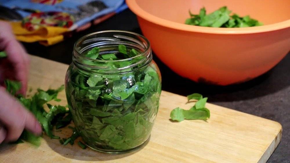 Как заготовить шпинат на зиму: 7 способов - ваш прекрасный сад