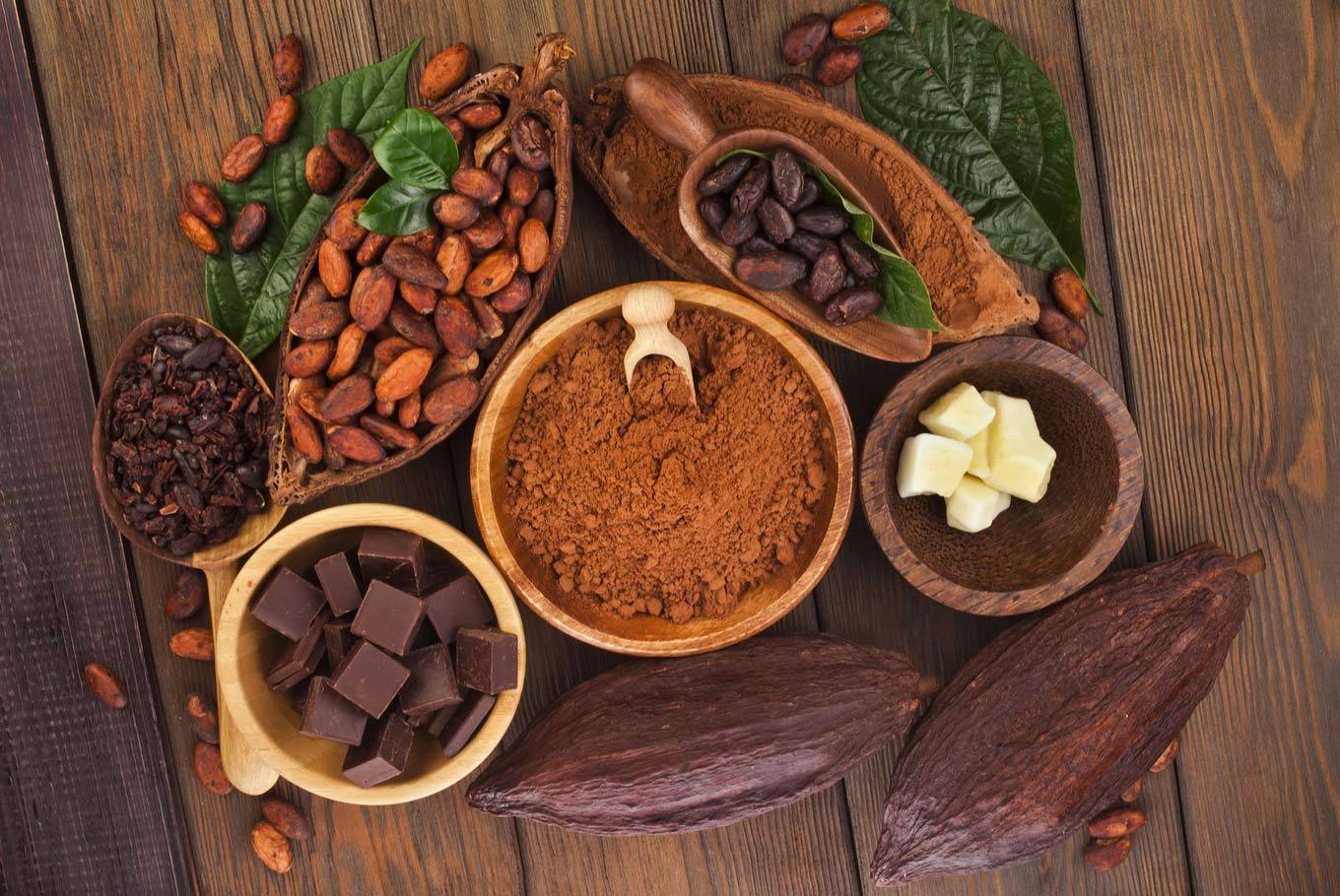 Всё о какао-бобах: описание, химический состав, польза и вред, рецепты блюд