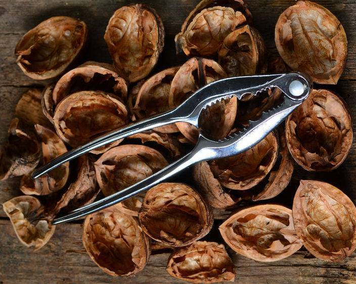 Применение скорлупы и листьев грецкого ореха: использование для удобрения на даче, как дренаж и мульчирование