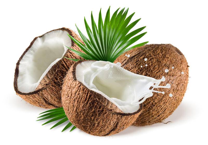Польза кокоса: 115 фото кокоса, польза, вред, показания и противопоказания