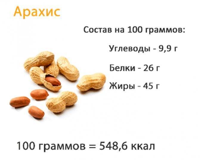 Фундук: польза и вред ореха для организма, калорийность, бжу