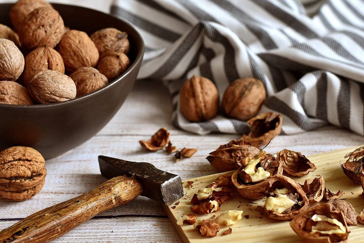 Грецкие орехи: польза и вред для организма