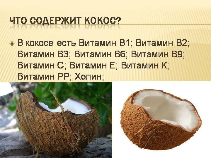 Польза и возможный вред кокосовой воды