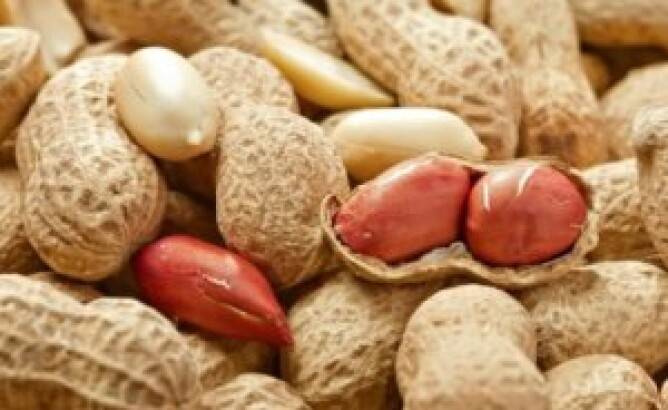 Какие орехи полезны при беременности?
